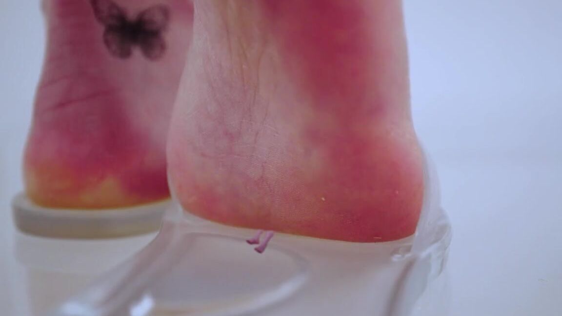 Giantess Ella Nicknamed Giantessella 10 18 2023 Onlyfans Video Story Youve Been Infected With The Shrinking Virus And Your Girlfriend Needs To Get Rid Of