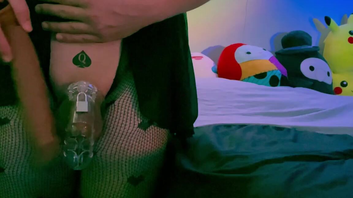 Ivy Sin Nicknamed Nightangelxoxo 12 13 2023 Onlyfans Video My Cuck Is Officially On Punishment In The Same Fishnets I Fucked My Last Bbc In