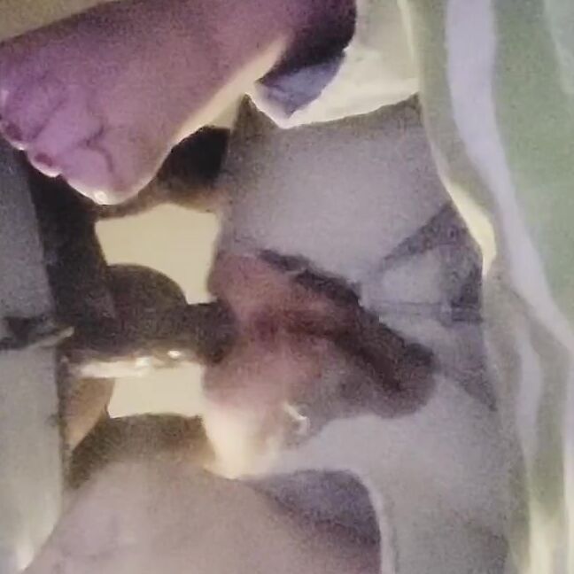 Tru Domination Nicknamed Tru Domination 02 12 2024 Onlyfans Video Her Wet Hungry Asshole And Phat Cheeks Helped My Rip Her Jeans So I Could Stuff T0Z2