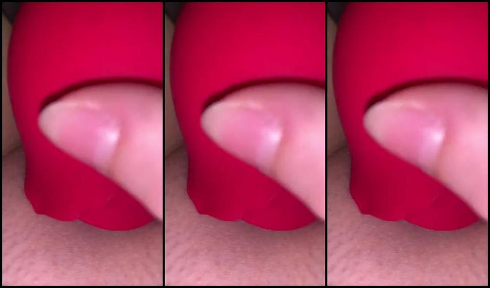 Jennaize Nicknamed Jennaize Onlyfans Using The New Rose Toy I Got Yesterday