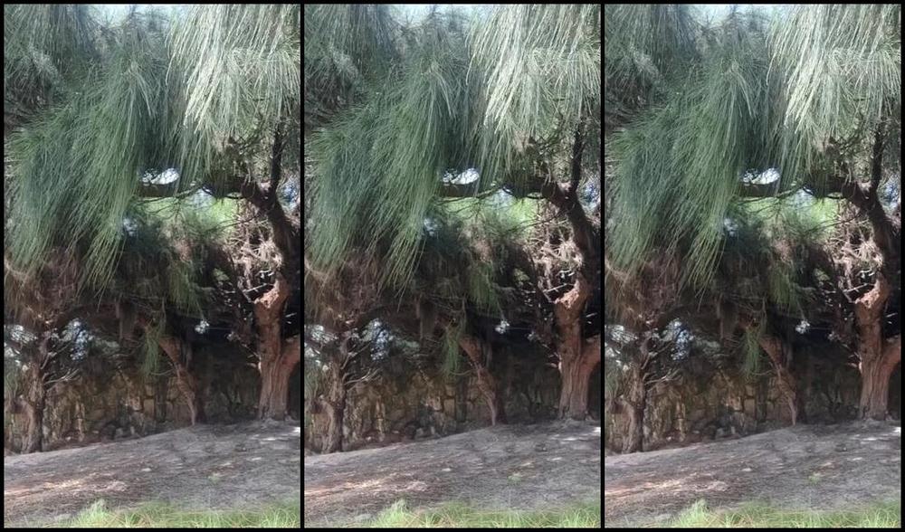 Agatakhalifa Nicknamed Agatakhalifa 06 13 2024 Onlyfans Video Que Tesaooo Que Eu Estava A Pepeca Piscando Latejando Ja E Do Lado De Fora Da