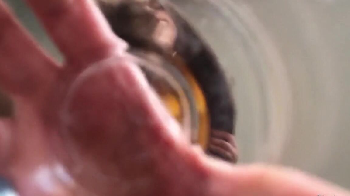 Giantess Elixs Nicknamed Giantesselixs 10 17 2021 Onlyfans Video I Saw Something Tiny Crawling On The Floor At First It Seemed An Insect But Then