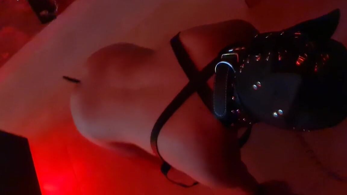 Domme Ju Leah Nicknamed Mistressjuleah 03 08 2025 Onlyfans Video Abana O Rabinhooo Para Sua Dona Hahahahpetplay