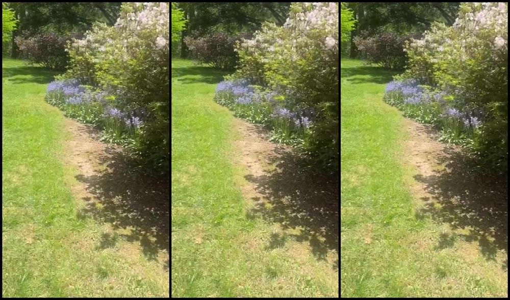 Alpha Leather Nicknamed Alphaleather 05 02 2024 Onlyfans Video A Moment Of Zen