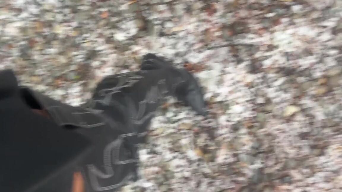 Alpha Leather Nicknamed Alphaleather 11 28 2024 Onlyfans Video Happy Thanksgiving