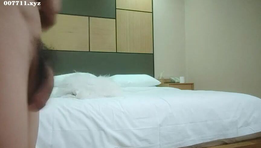 Asian Hidden Camera Couples Escorts 62411