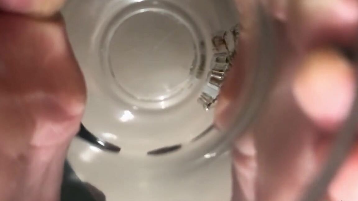 Giantess Elixs Nicknamed Giantesselixs 04 20 2021 Onlyfans Video Teasing You While You Are Trapped Under This Giant Glass