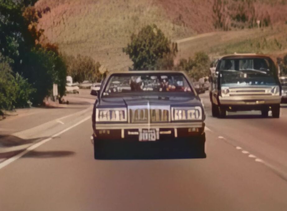 "Connie Peterson (as Connie Peters), Darby Lloyd Rains, Desiree Cousteau, Desiree West, Josephine Farmer, Juliet Anderson, Kitty Shayne, Laurien Dominique, Mary Stuart, Merle Michaels, Nancy Dare, Pat Manning (as Patricia Manning), Seka, Serena, Mike