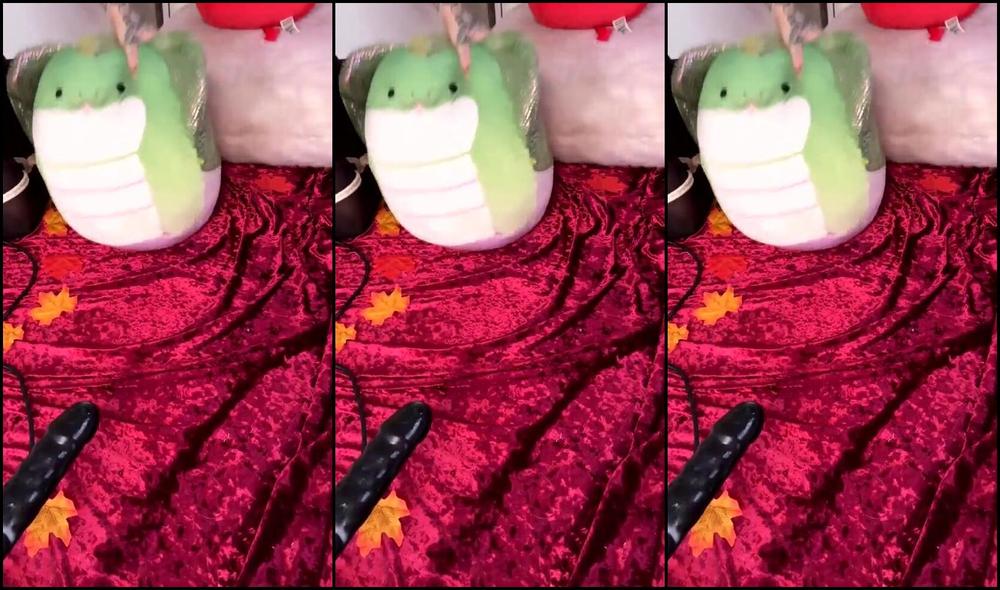 Hellcat Nat Nicknamed Hellcat Nat 11 20 2023 Onlyfans Video Stream Started At 11202023 0539 Pm Thanksgiving Livestream