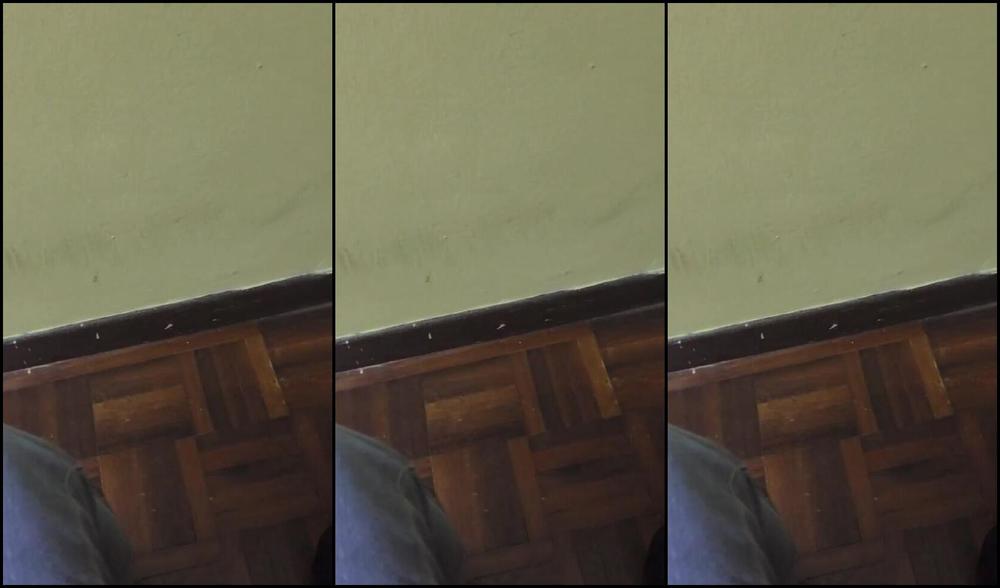 Aiko Worshipaiko Nicknamed Worshipaiko 08 23 2024 Onlyfans Video Submit Sniff And Send