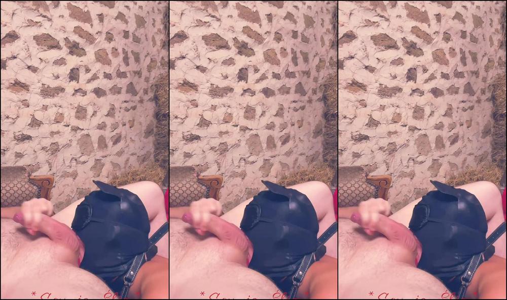 Soumiseelia 46017297Video2022 07 2921 20