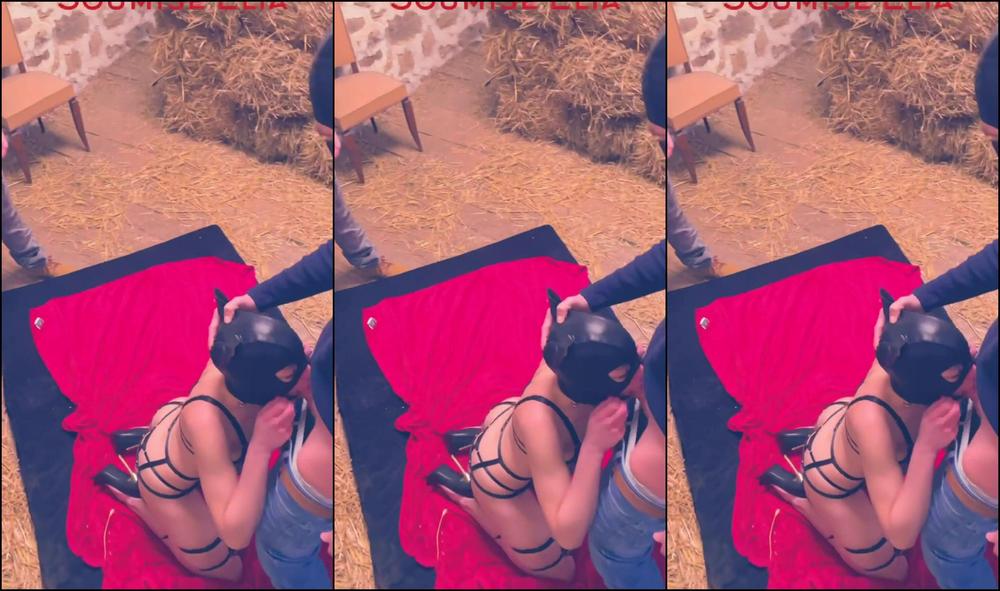 Soumiseelia 43150253Video2022 01 3013 54