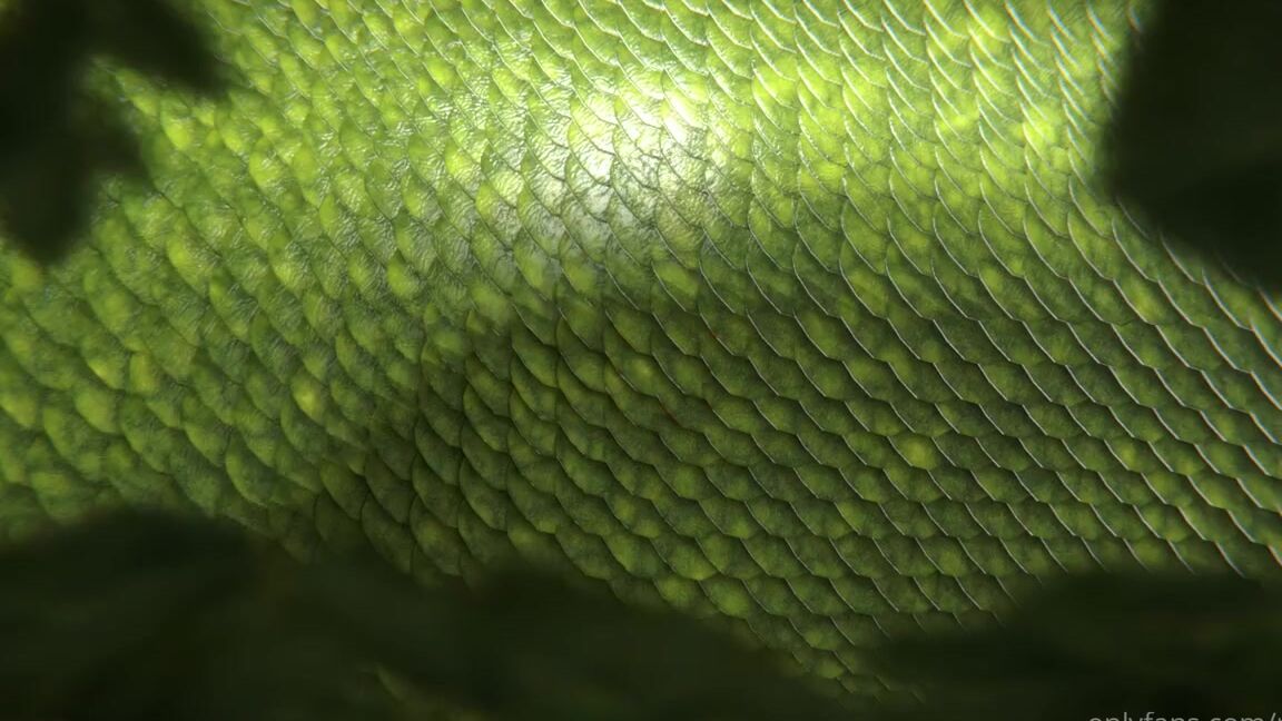 Reptil Nicknamed Reptil 04 11 2021 Onlyfans Video Hola My Loves How Long Is Yours Xoxo