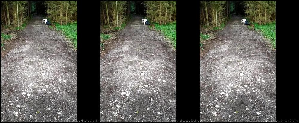 Herrin Lady Sarah Nicknamed Herrinlady Onlyfans Was Gibt Es Besseres Als Kleine Kriecher Auszulachen Dafr Habe Ich Ja Viele Ideen Also Hab