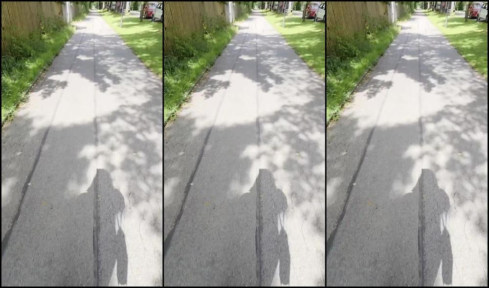 Herrin Lady Sarah Nicknamed Herrinlady 07 22 2025 Onlyfans Video Wuff Wuff