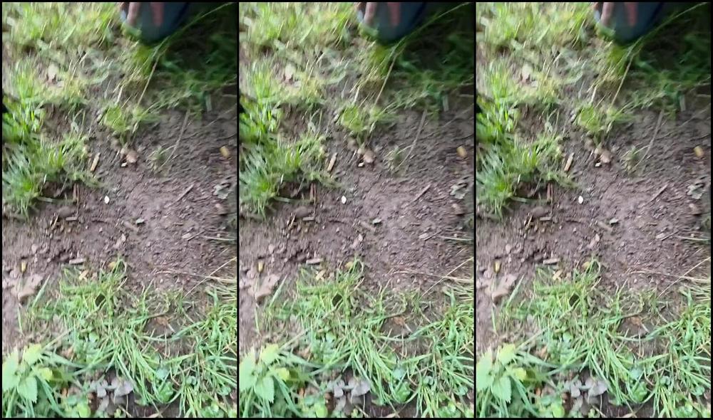 Herrin Lady Sarah Nicknamed Herrinlady 07 25 2025 Onlyfans Video Lecker Fresschen