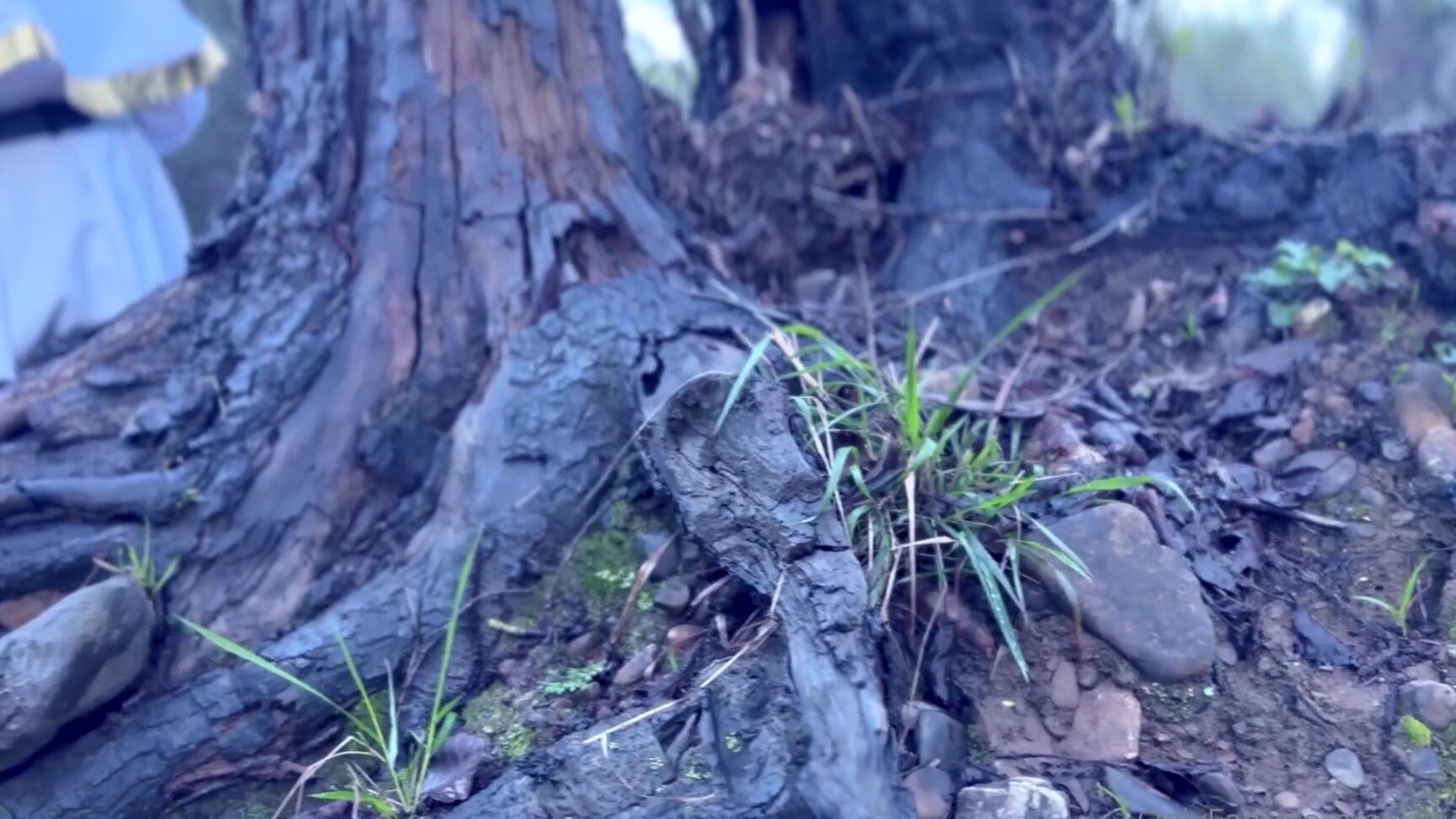 Aerytiefling Nicknamed Aerytiefling 03 13 2024 Onlyfans Video Im Sleepy Hungry And Its Cold Outside Lets Rest In That Cabin For The Night