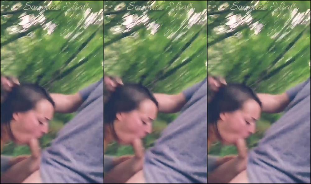 Soumiseelia 45873949Video2022 07 2118 20