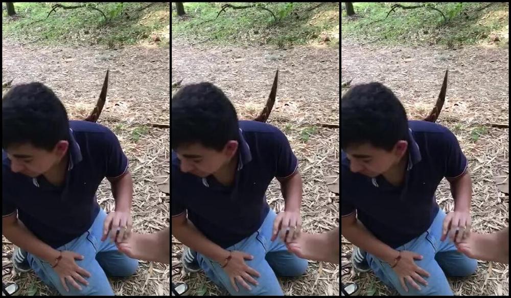 Domina Samanta Nicknamed Domina Samanta 02 02 2024 Onlyfans Video Humillaci N Extrema Pateandole El Rostro A Mi Esclavo Por No Limpiar Bien Mis Pies Con Su