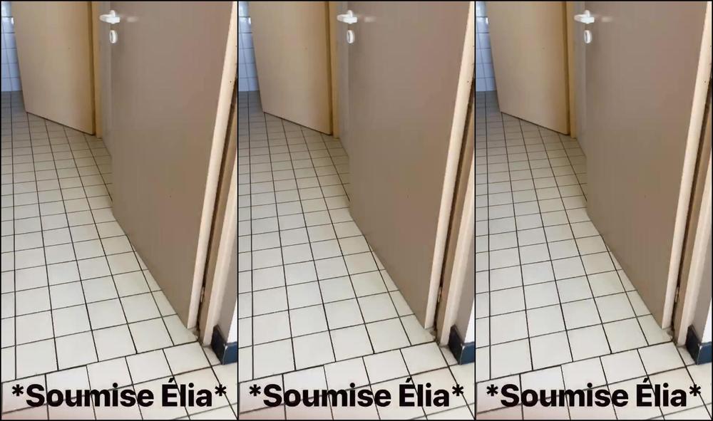 Soumiseelia 47545359Video2022 10 1411 52