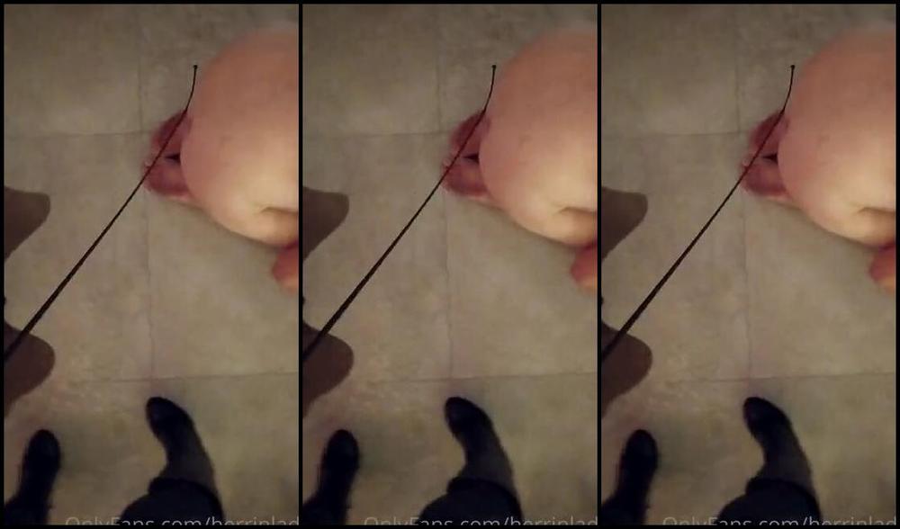 Herrin Lady Sarah Nicknamed Herrinlady Onlyfans Mein Ehesklave Ertrgt Gerne Alles Fr Mich Jeden Gerten Hieb Ist Es Wert Denn Was Mich Amsier