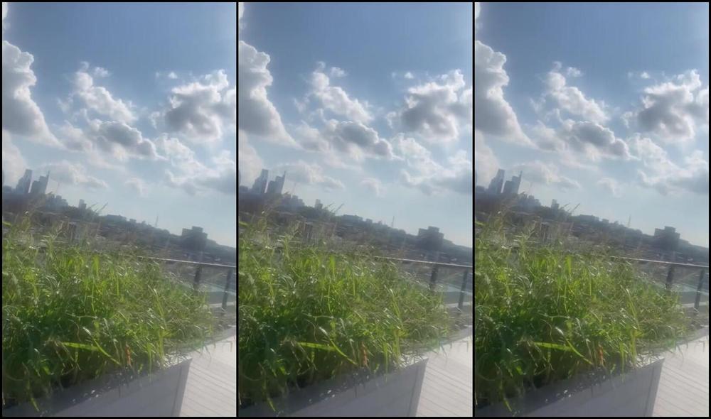 Heavenly Xperience Nicknamed Heavenlyxperience 07 11 2025 Onlyfans Video Enjoying The View In Philly