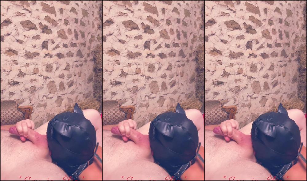 Soumiseelia 60099108Video2024 03 0614 01