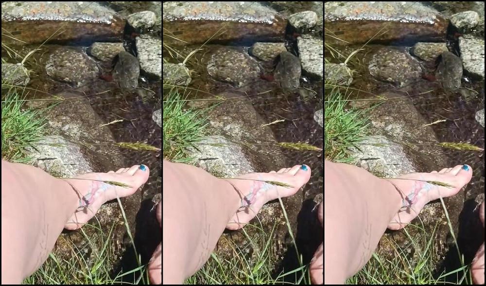 Onlybluefeet Nicknamed Onlybluefeet 09 08 2023 Onlyfans Video Una Gita In Montagna