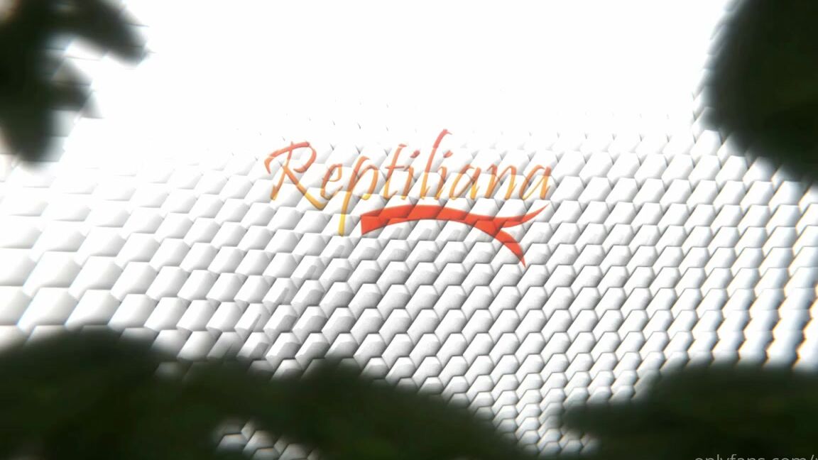 Reptil Nicknamed Reptil 08 09 2021 Onlyfans Video Hello Loves Im Sorry This Video Is A Day Late