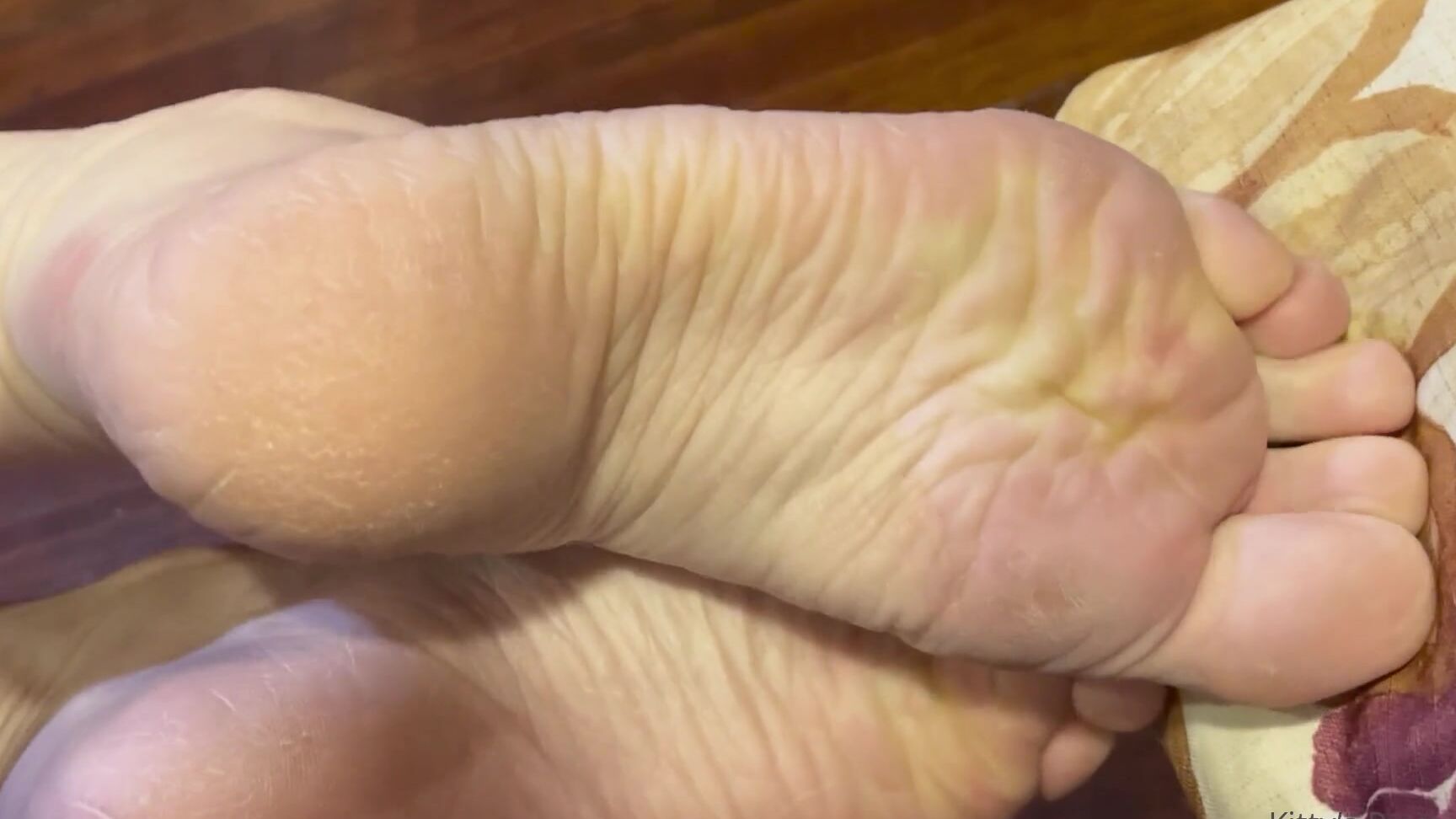 Kittys Pretty Feet Nicknamed Kittys Sweet Feet 02 27 2023 Onlyfans Video My Soles Are Looking Pretty Dry