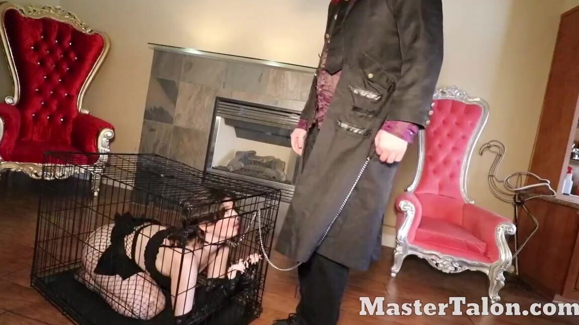 Master Talon Nicknamed Master Talon 09 18 2024 Onlyfans Video Teaching My Pet A Lesson She Wont Forget