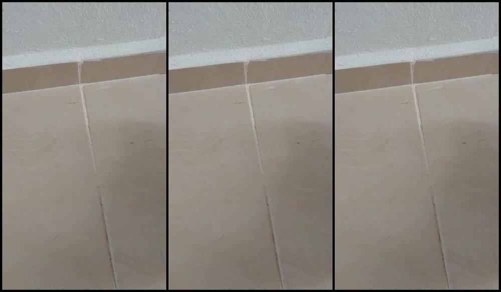 Miss Tess Nicknamed Lightmisstess 10 12 2022 Onlyfans Video Play With Me