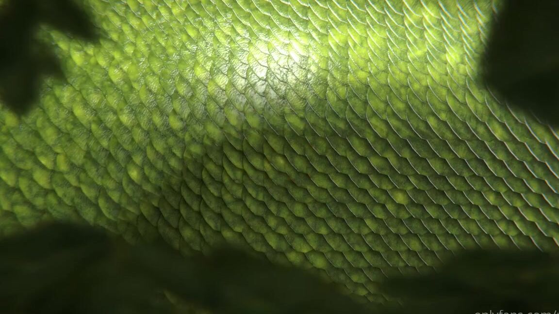 Reptil Nicknamed Reptil 05 23 2021 Onlyfans Video Good Morning Loves I Thought Id Follow Up Yesterdays Pics With A Little More Tongue Kissing