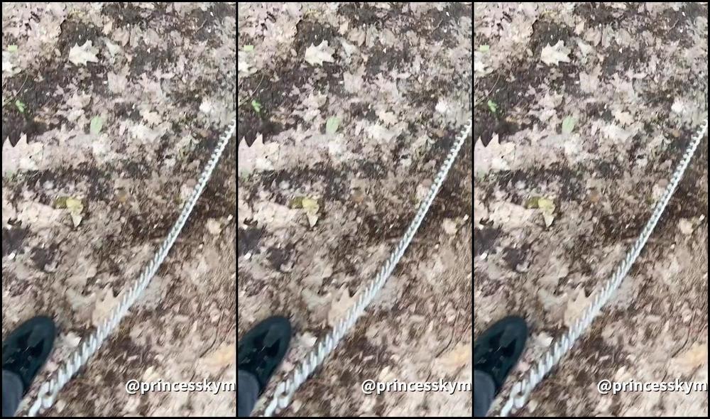 Princess Kym Aka Princesskym 06 06 2025 Onlyfans Video A Little Walk In The Woods A Tug On The Leash