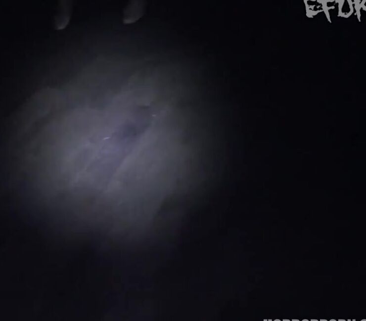 Efukt Silently Beginning For Punishment