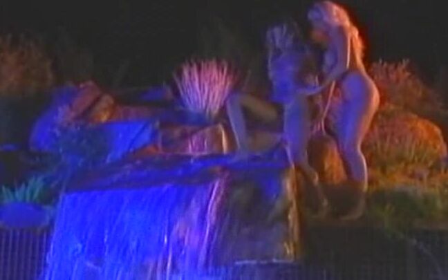 "Alicia Rio, Celeste, Chayse Manhattan, Debi Diamond, Deborah Wells, Dyanna Lauren, Julia Ann, Keisha, Lilli Xene, Melanie Moore, P.J. Sparxx, Summer Knight, VixXxen, Alex Sanders, David Christopher, Joey Silvera, Jon Dough, Mal O'Ree, Nick East, Nic