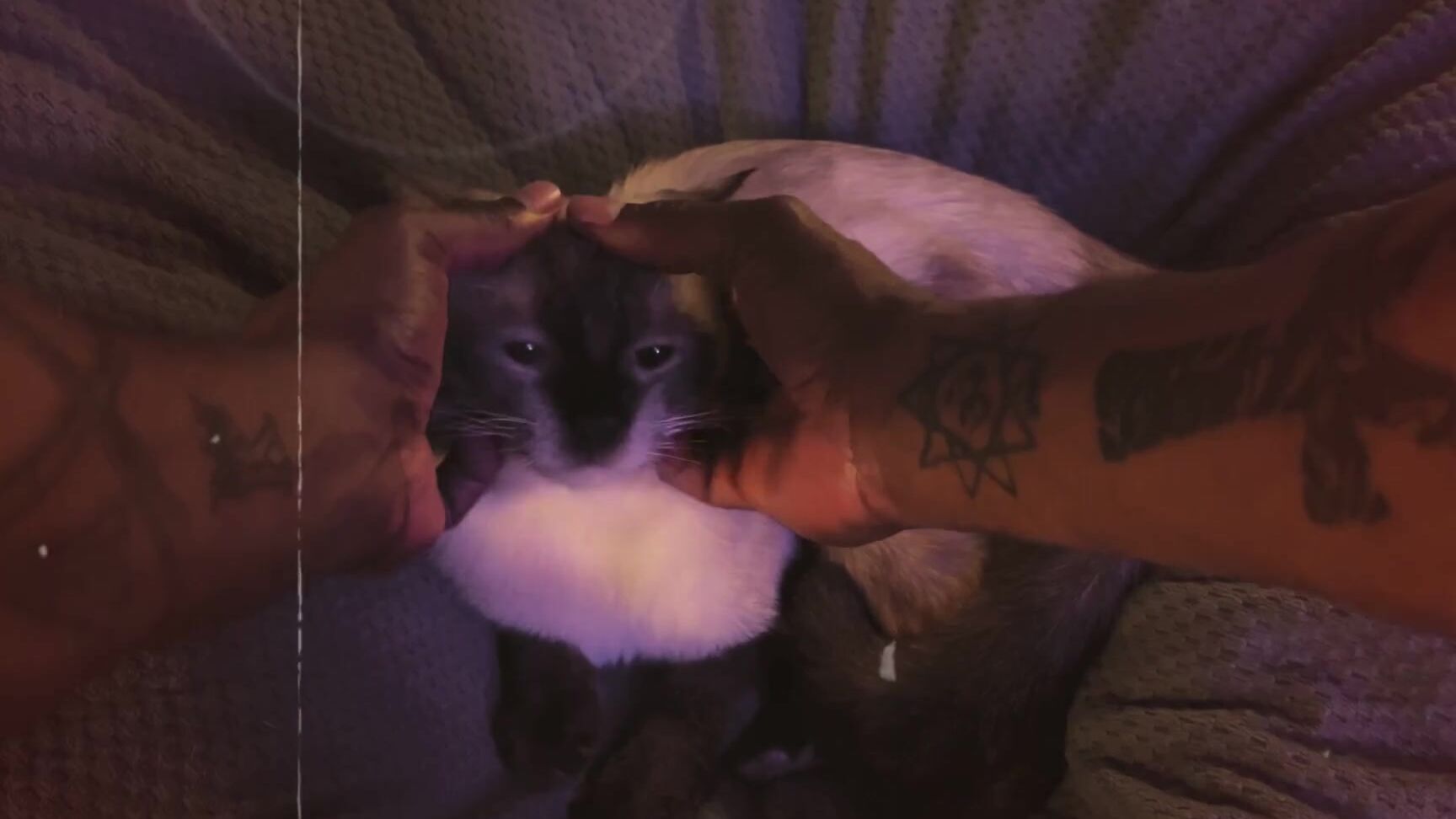 Clean Peen Eugene Nicknamed Cleanpeeneugene 06 04 2025 Onlyfans Video Hey Guys Meet Ashley Hes Who Keeps Me Company When My Co Stars Arent Around