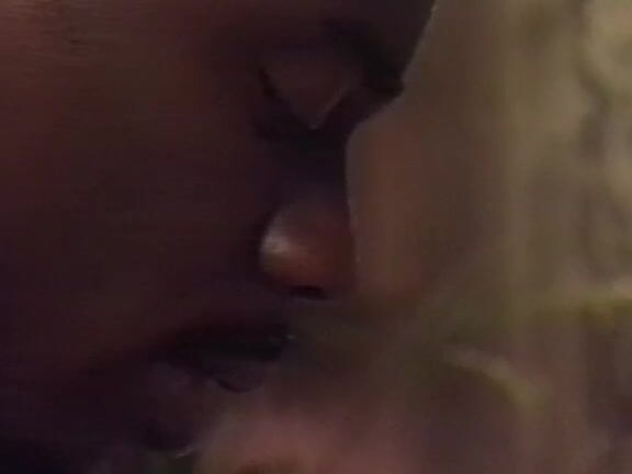 "Nikki Dial, Lacy Rose, Tracey Adams, Misaki, Chelly Supreme, Sean Michaels, Steve Drake, TT Boy, Jerry Butler, Ron Jeremy" Facial, Feature, Anal, Interracial Nikki's Nightlife Metro