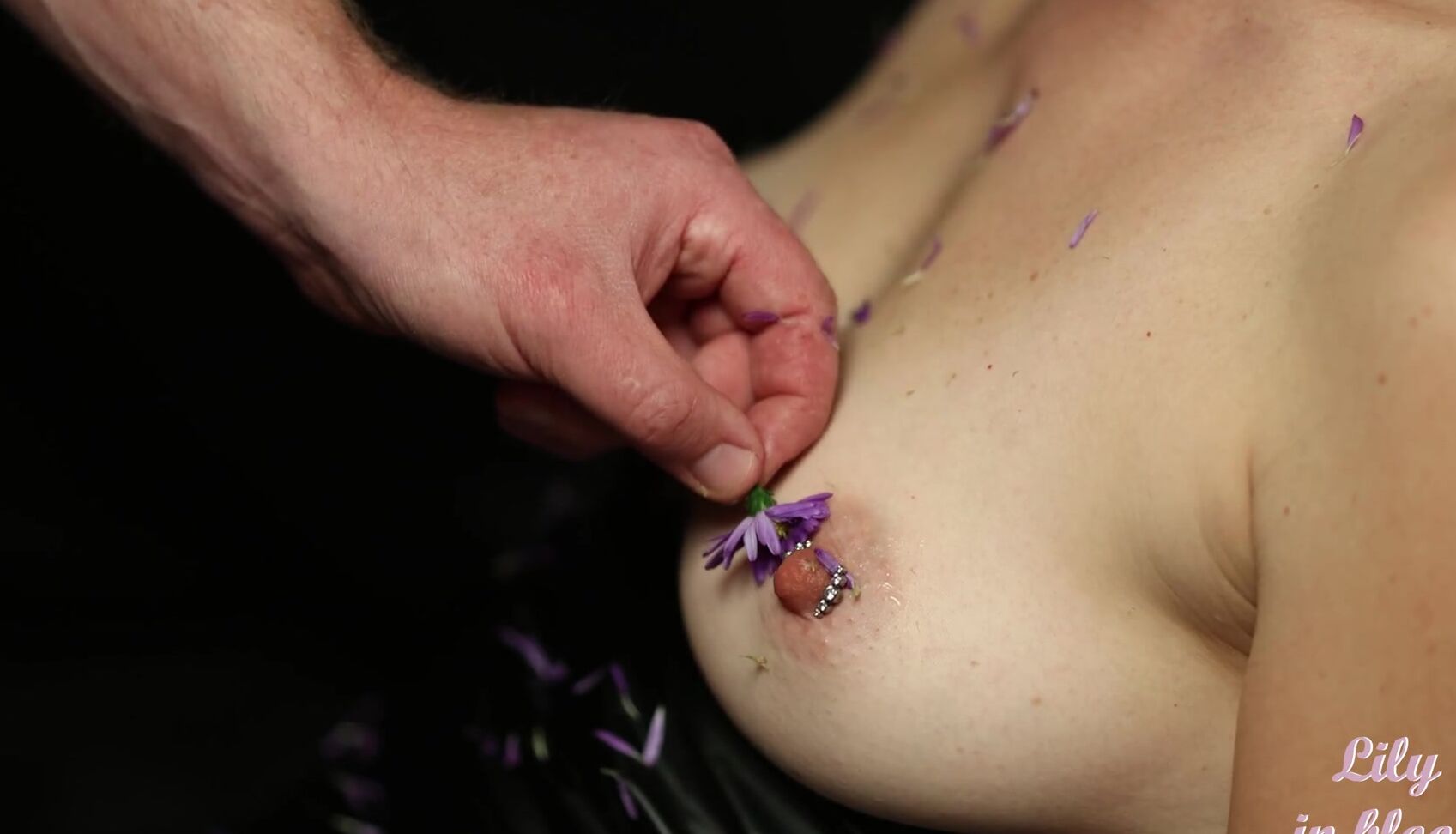 Лепестки На Моих Сосках Pornhub Com