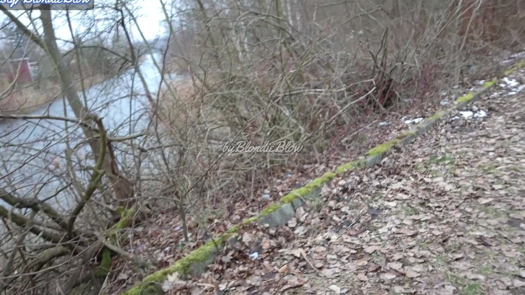 Flashing Handjob In Public Park Pornhub Com