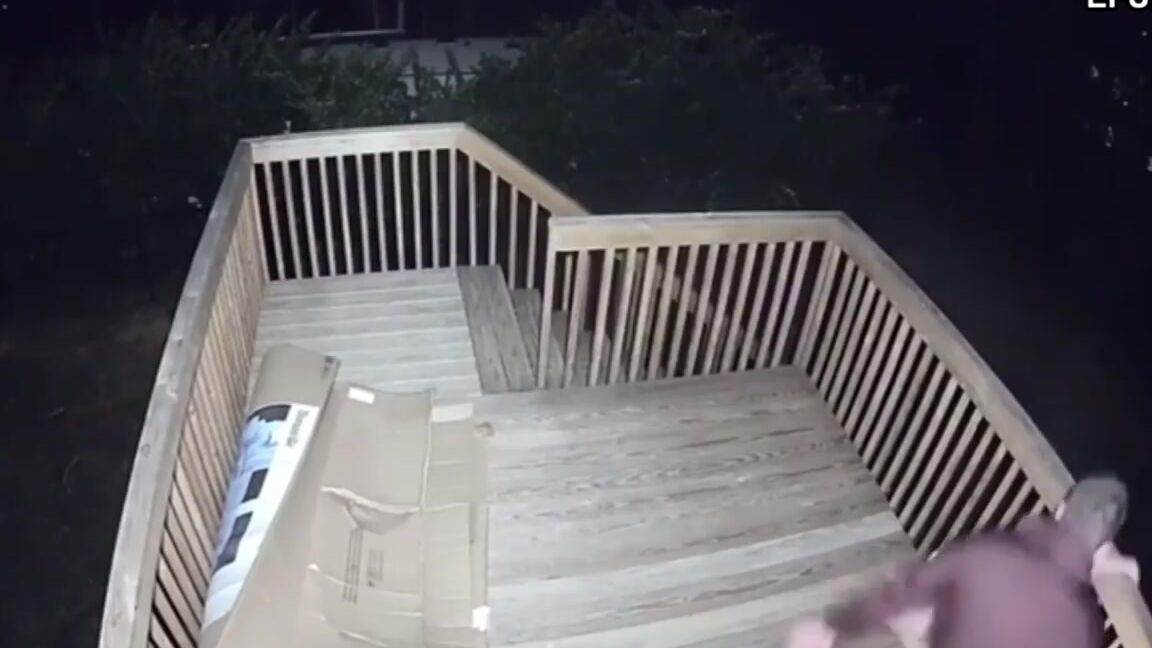 Efukt Public Degeneracy Volume 6