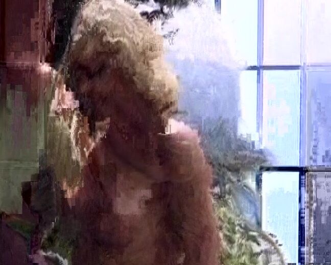 Geile Vogel Am Konigsee_1 SiteRip