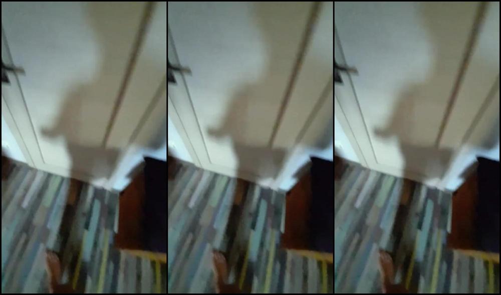 Золотой Дождик Crazyfamily 1970