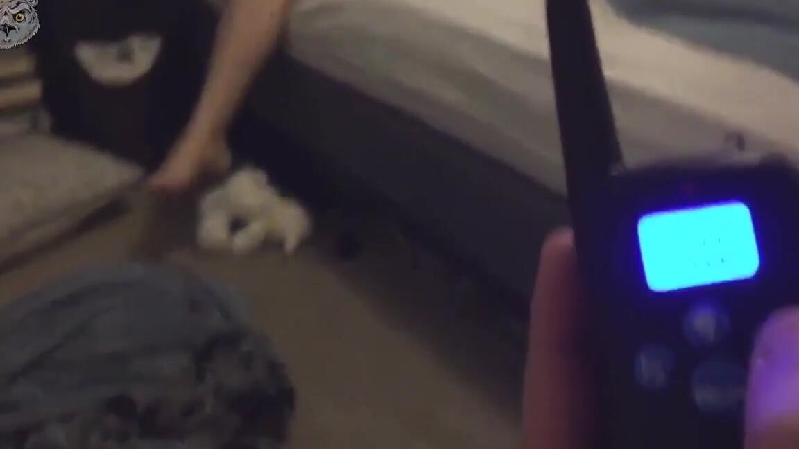 Efukt The Rarest Amateur Video On Earth