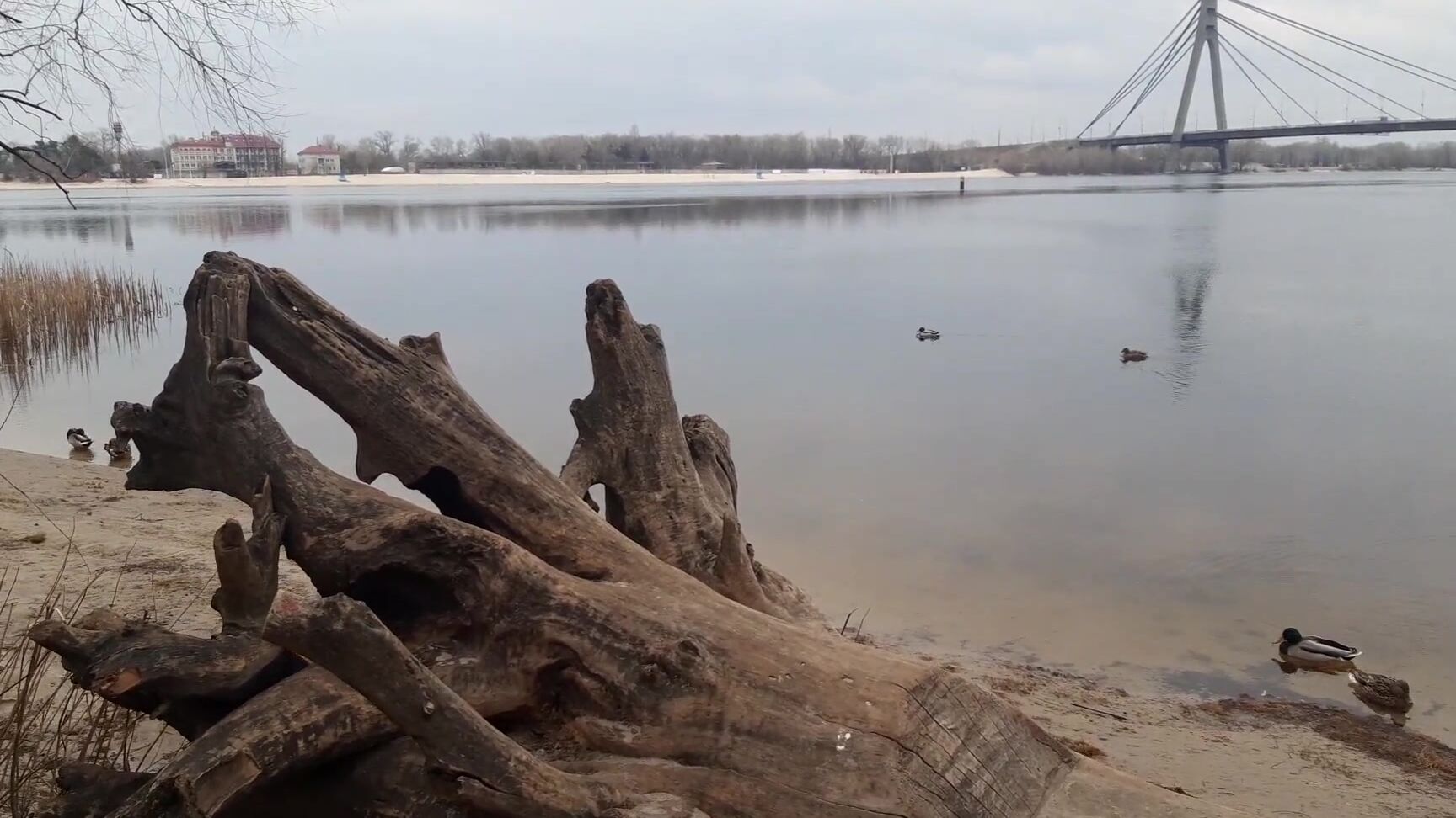 Украина Киев Сегодня О Войне Не Слышно