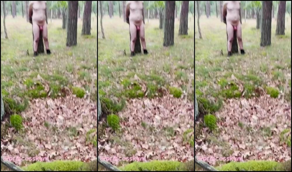 Princess Kym Aka Princesskym 08 17 2025 Onlyfans Video I Love When A Walk Suddenly Turns Into A Little Lesson Ow3Z