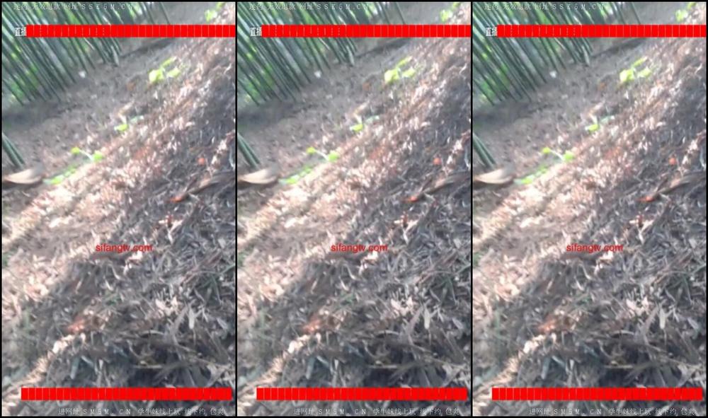 Asian Domestic Zone Self Filmed Self 19089