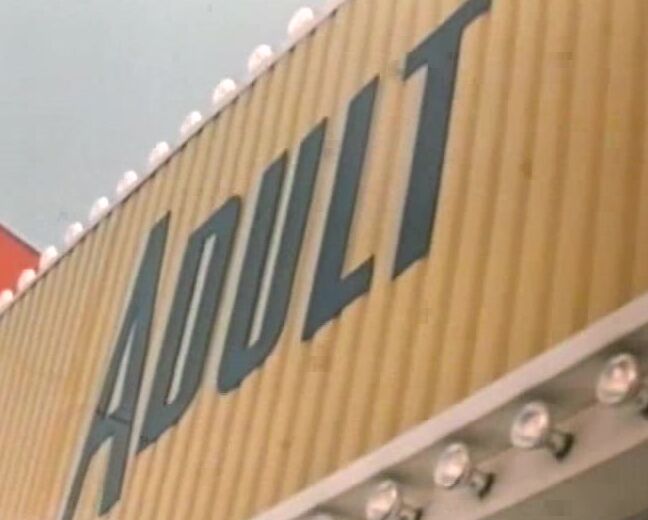 "Anna Leeds, Joan Woodman, Lenore Swink, Liz Swanson, Rita Cummings, Eddie Bach, Frank Margello, Harry Moran" Classic Heisse Glut SiteRip