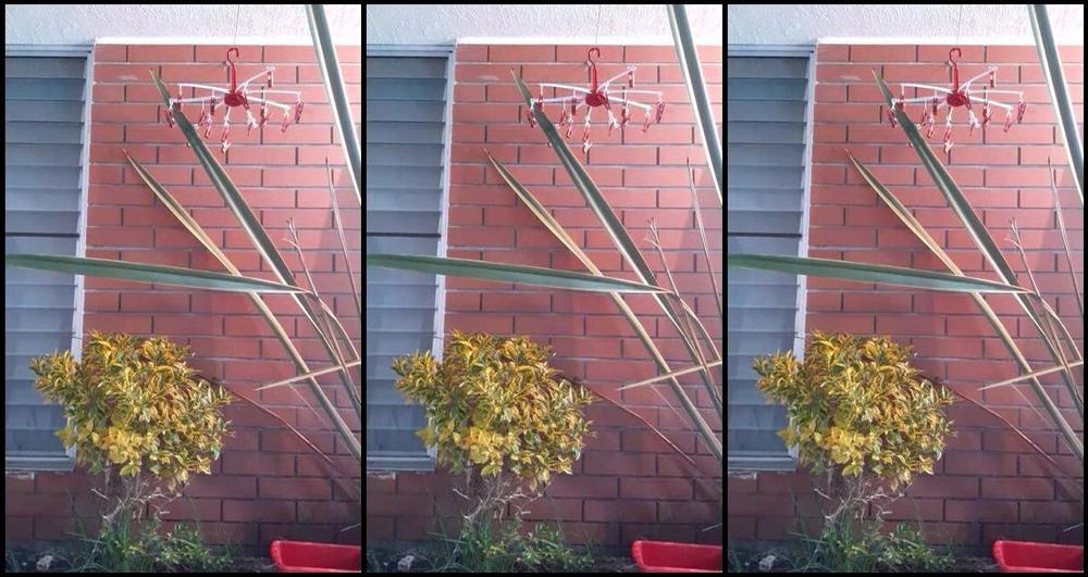 "Lola bbunny" abs, absolutestrength, assfetish, brunette, cigarfetish athletic Manyvids