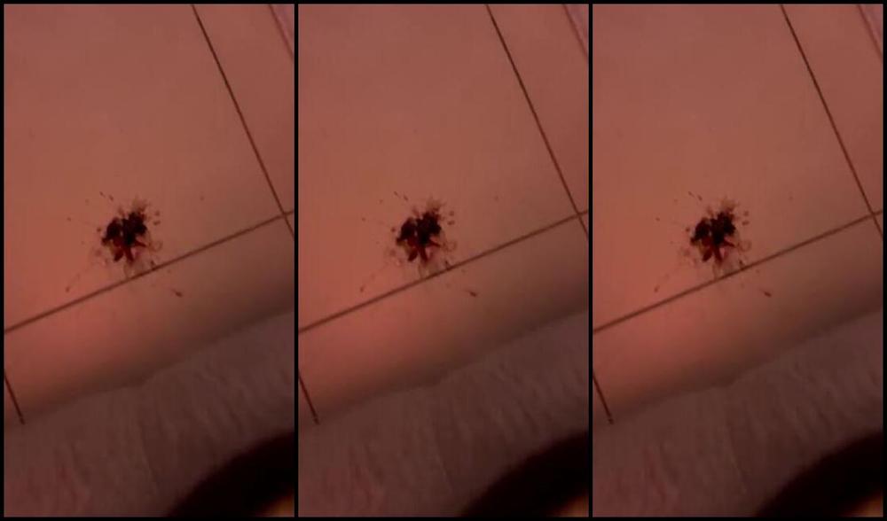 Miss Lizzy Aka Whoyoubelongto 03 31 2025 Onlyfans Video Bon Appetite 720P